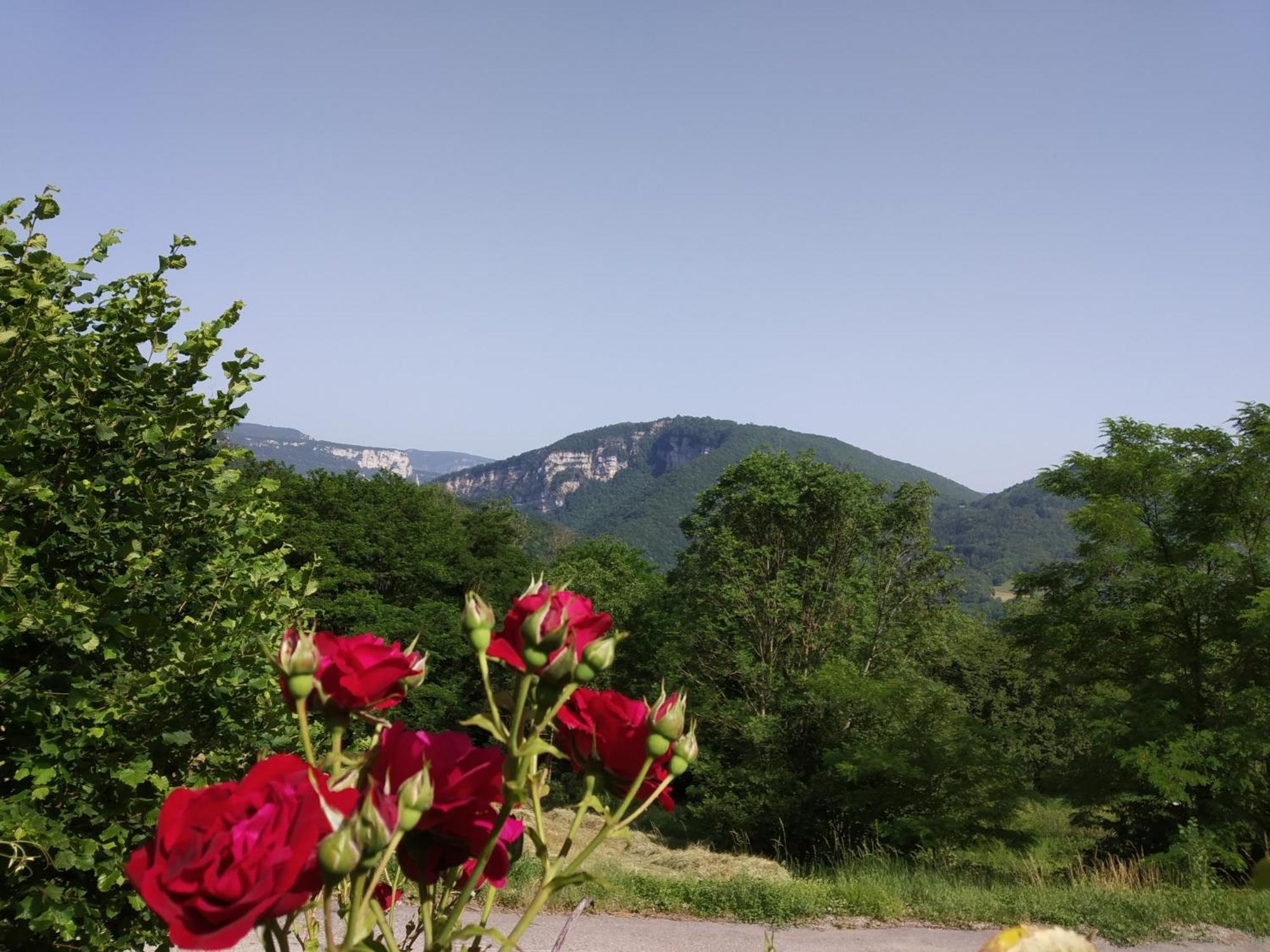 Au Chalet D'Anna Saint-Rambert-en-Bugey Екстер'єр фото