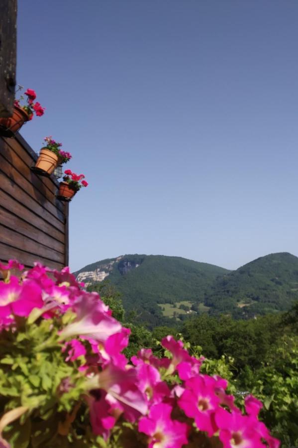 Au Chalet D'Anna Saint-Rambert-en-Bugey Екстер'єр фото