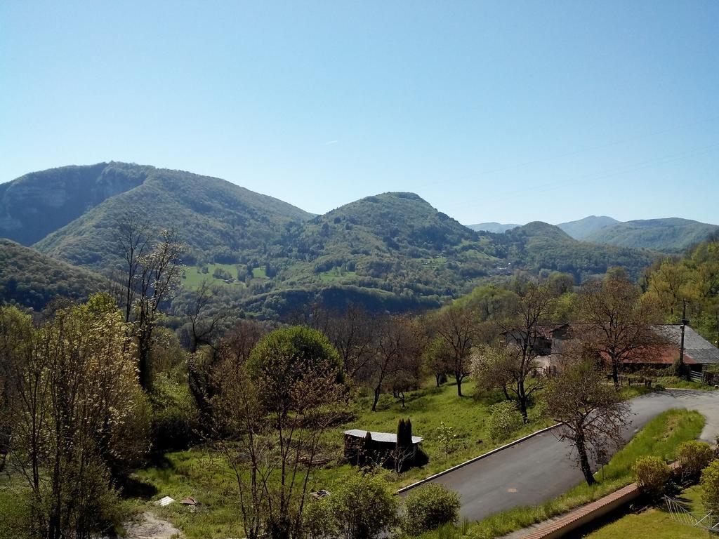 Au Chalet D'Anna Saint-Rambert-en-Bugey Екстер'єр фото